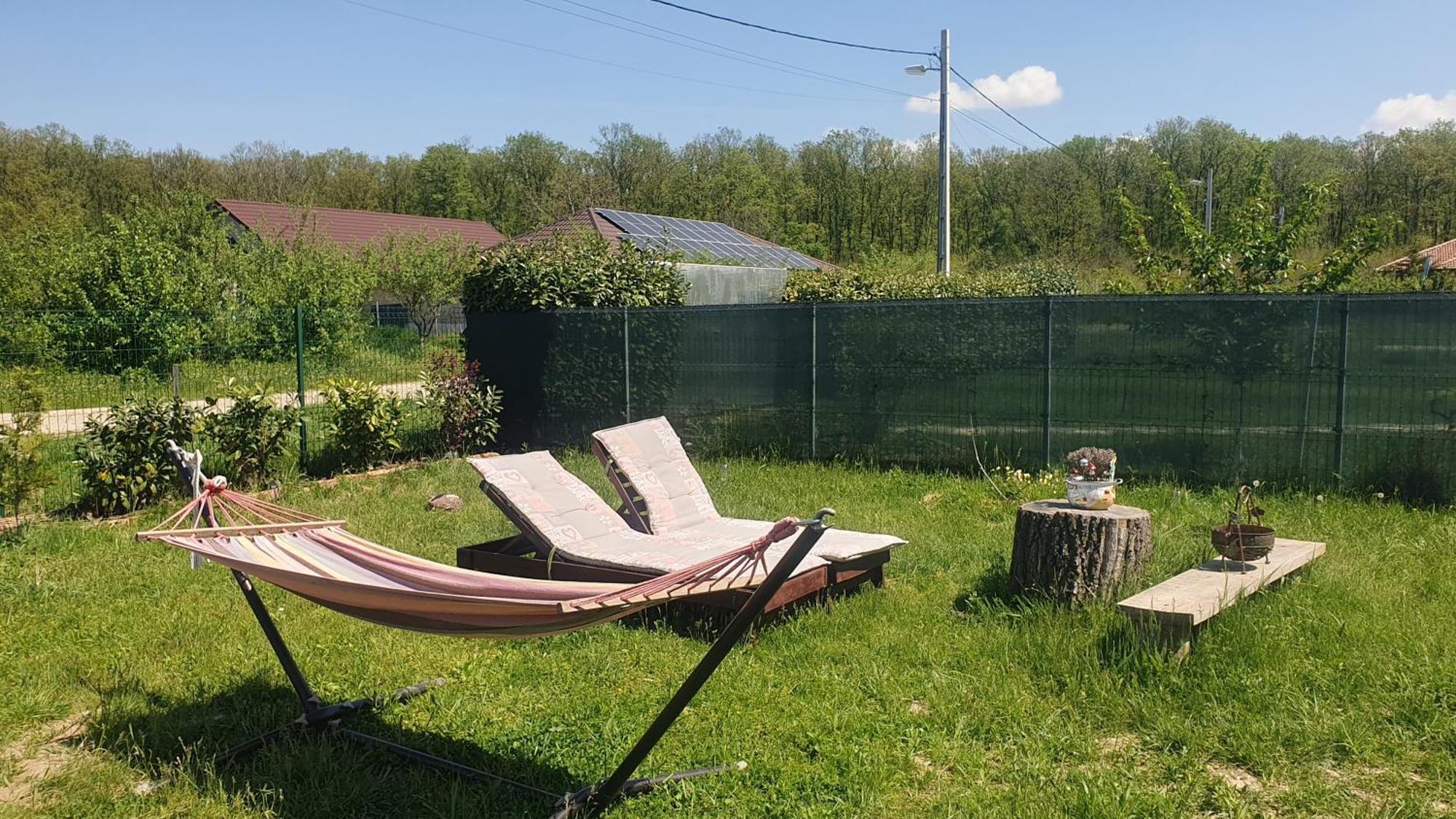 Les Forest Relax Near Oradea -Pet Friendly מראה חיצוני תמונה